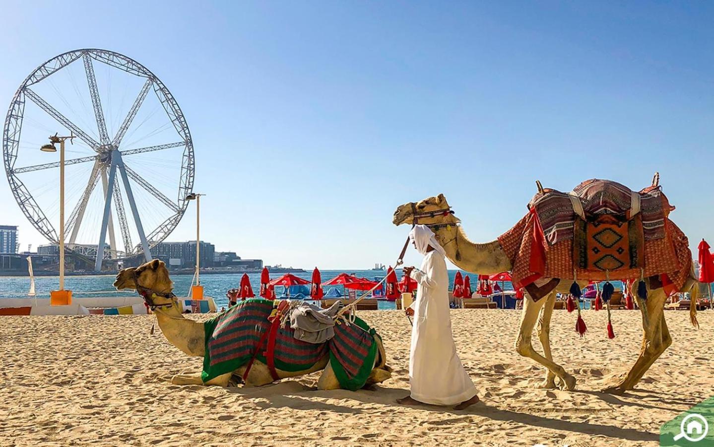 Апартаменти Murjan Jbr By Happy Season Дубай